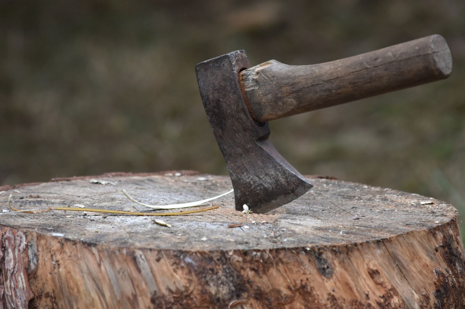 Nikon D7200 sample photo. Ax, wood, wood stump photography