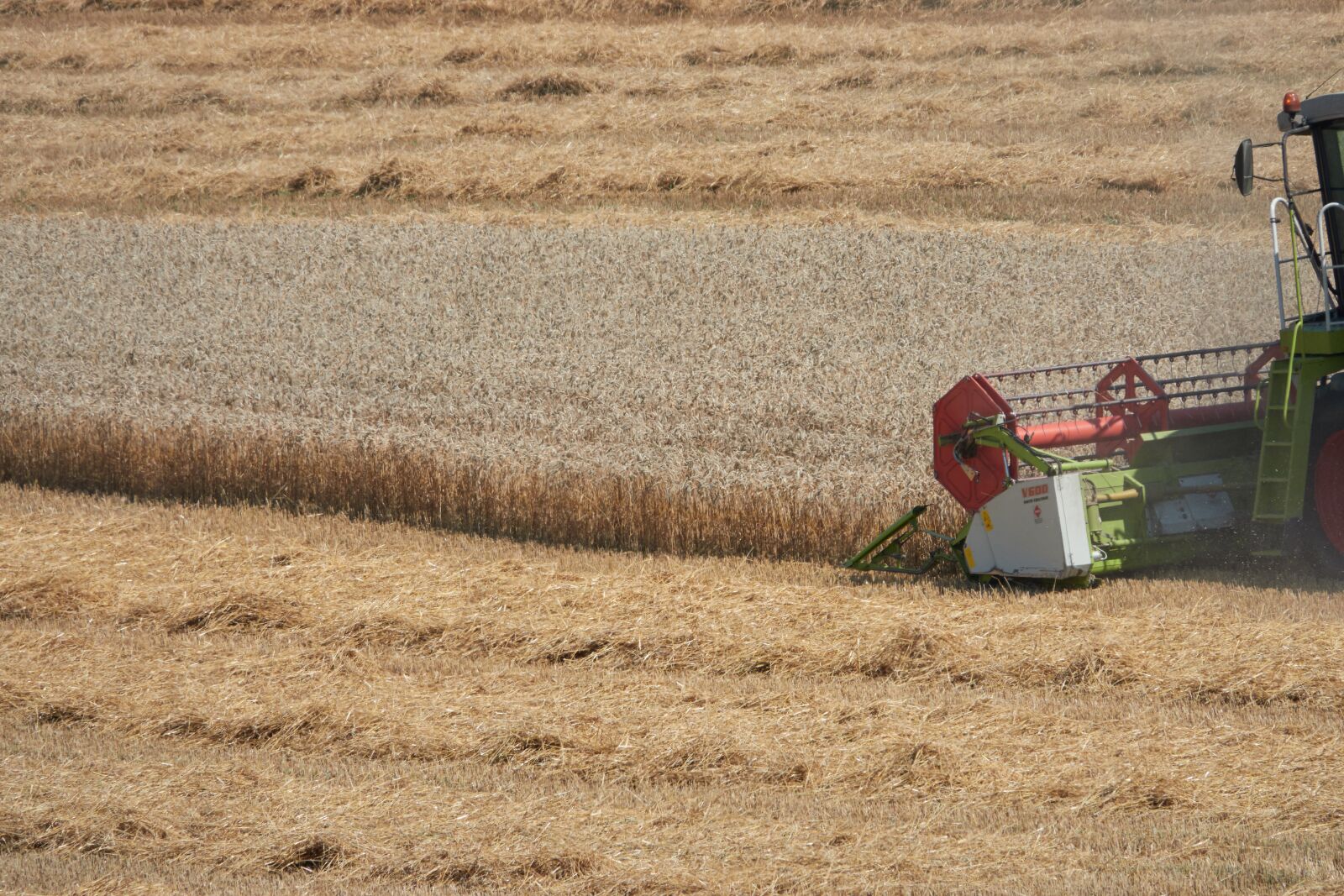 Sony Cyber-shot DSC-RX10 IV sample photo. Combine harvester, agriculture, harvest photography