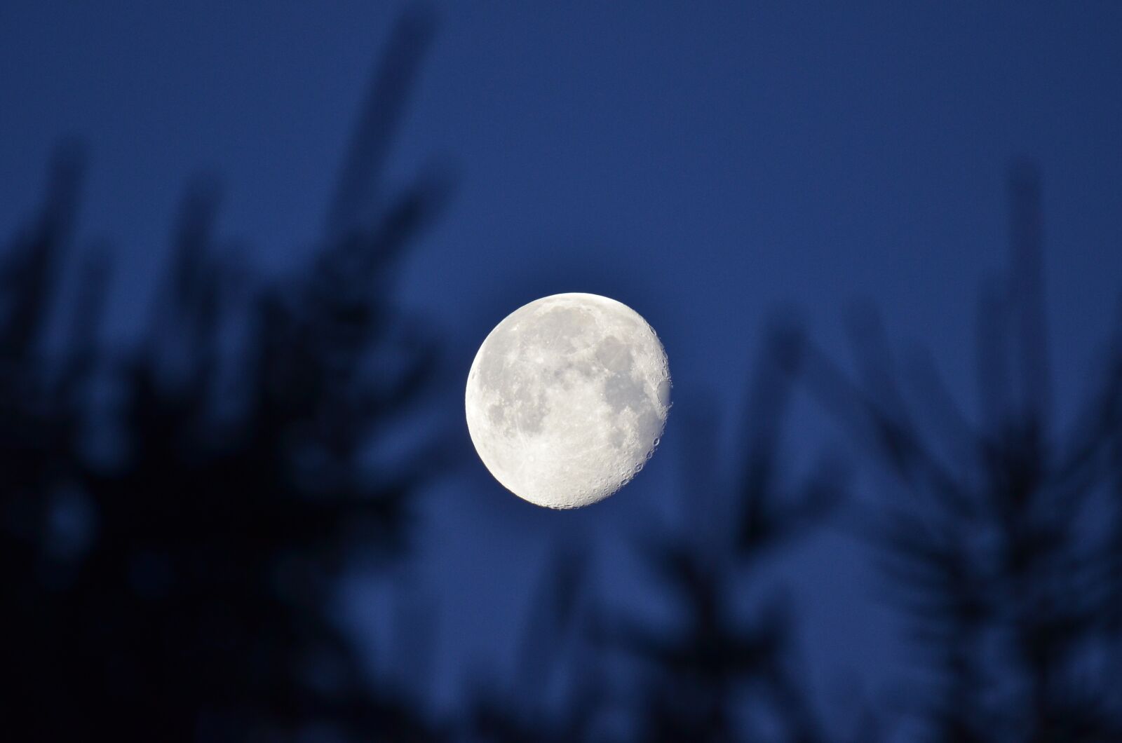 Nikon D7000 sample photo. Moon, night, glow photography
