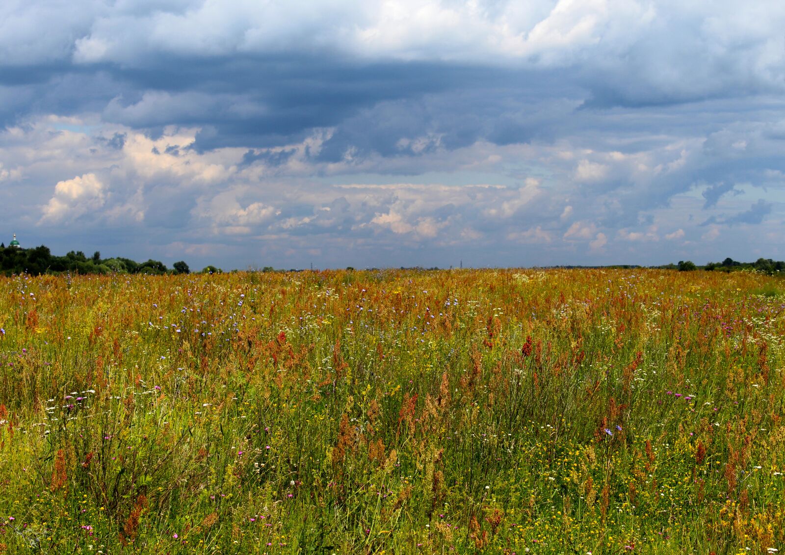 Canon EOS 1200D (EOS Rebel T5 / EOS Kiss X70 / EOS Hi) sample photo. Field, sky, landscape photography