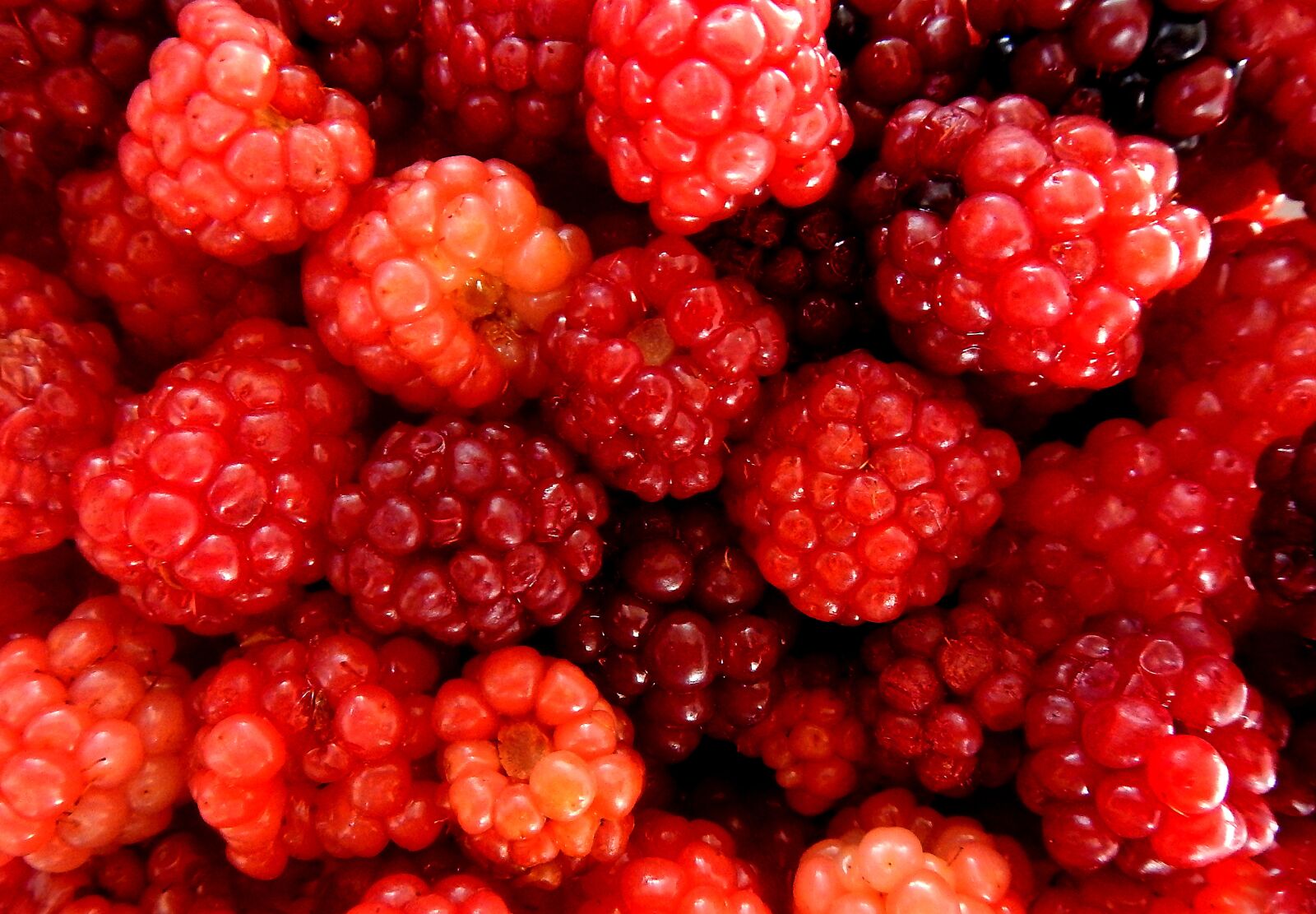 Nikon Coolpix AW110 sample photo. Blackberries, raspberries, red fruits photography