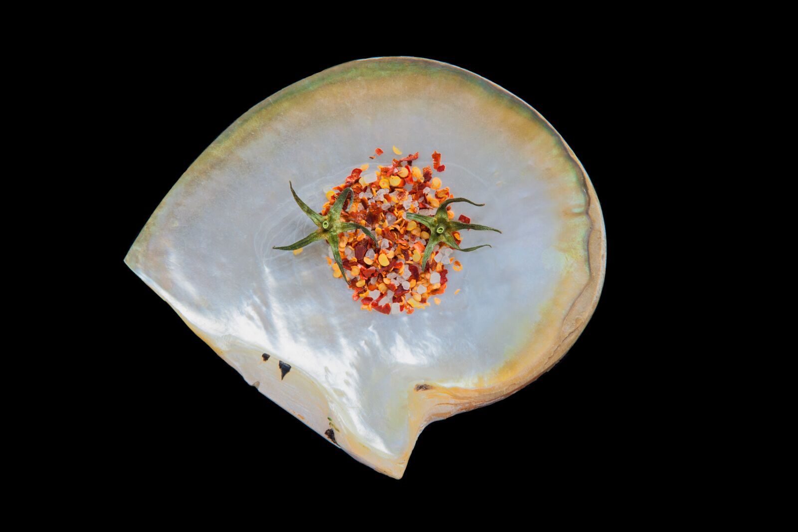 Canon EOS 5D Mark II sample photo. Shell, spice, still life photography