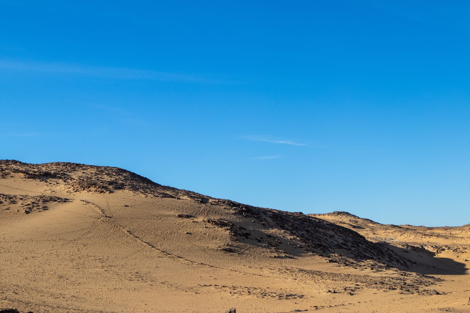 Canon EOS 200D (EOS Rebel SL2 / EOS Kiss X9) sample photo. Desert, sand, dunes photography