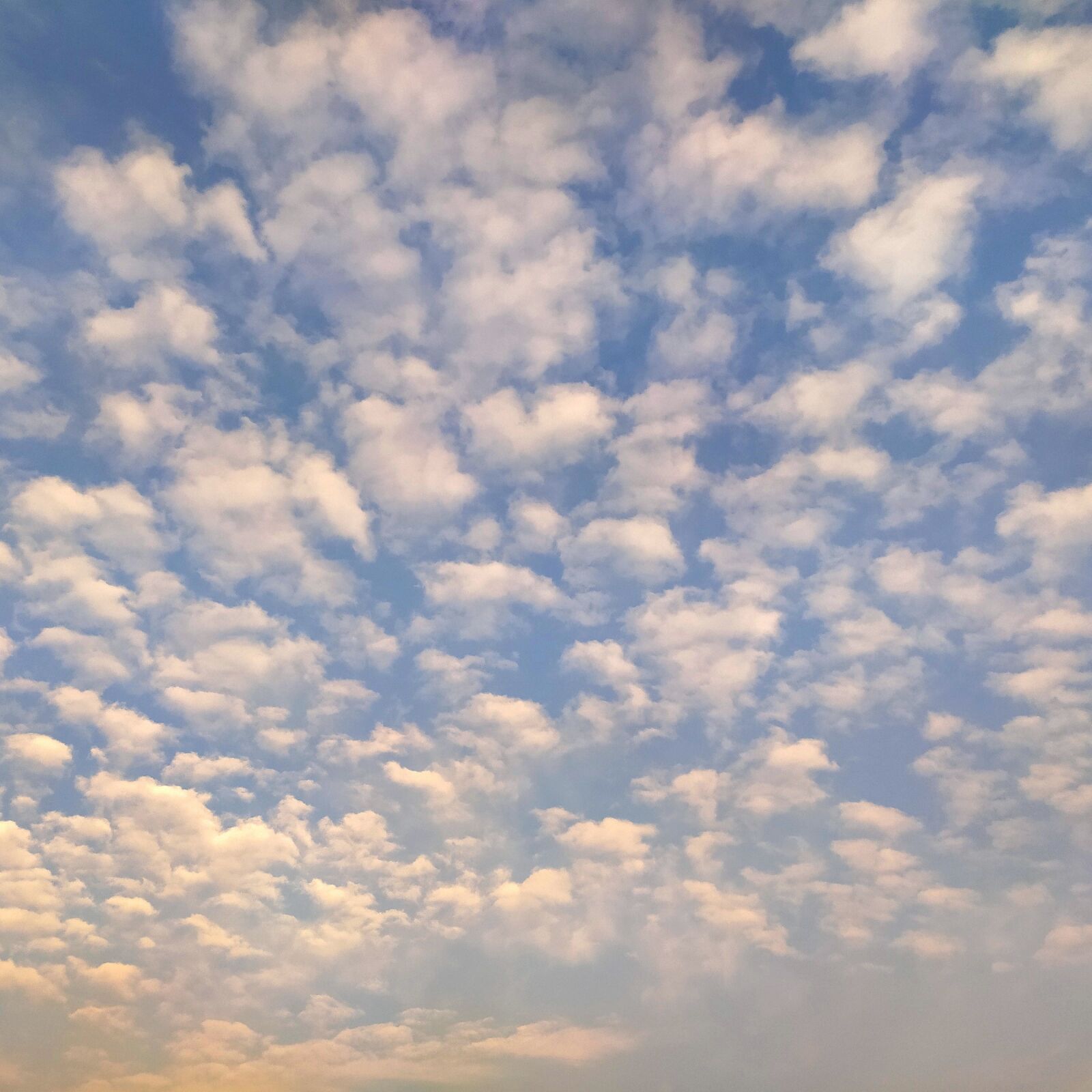 Xiaomi Redmi Note 8T sample photo. Sky, sunset, beautiful photography