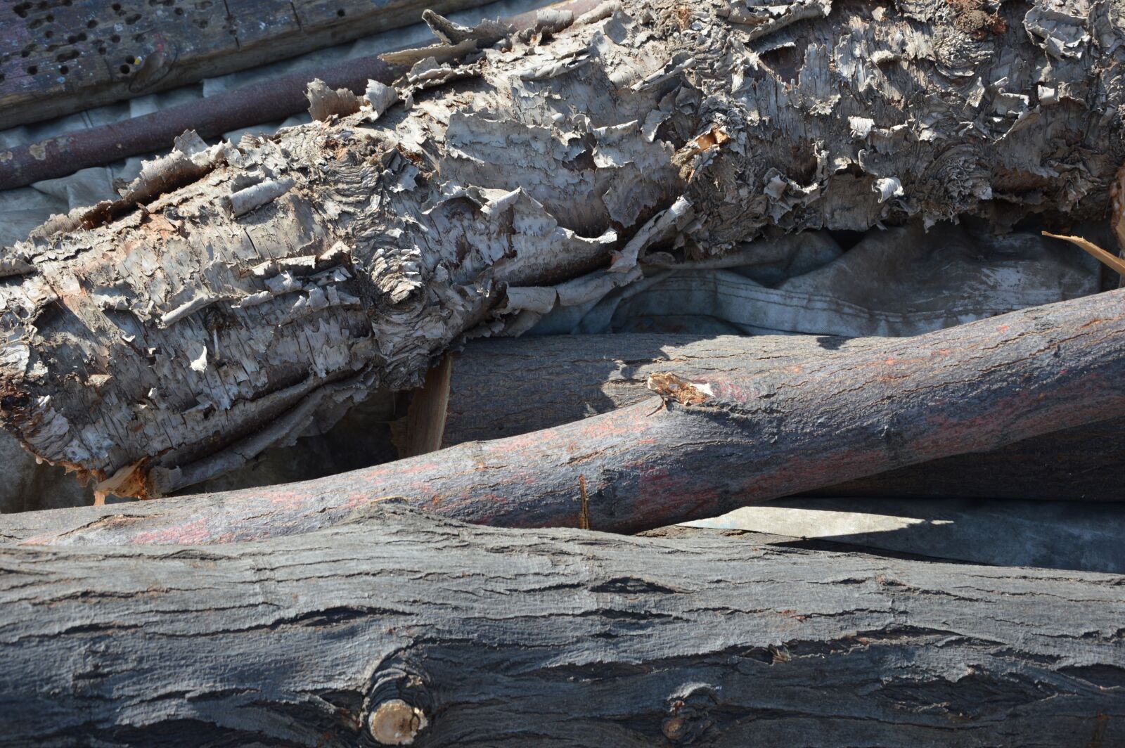 Nikon D3200 sample photo. Wood, tree trunks, bark photography