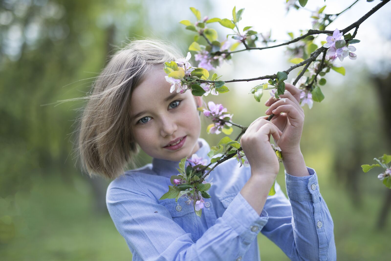 Nikon D800E sample photo. Spring, apple tree, flowers photography