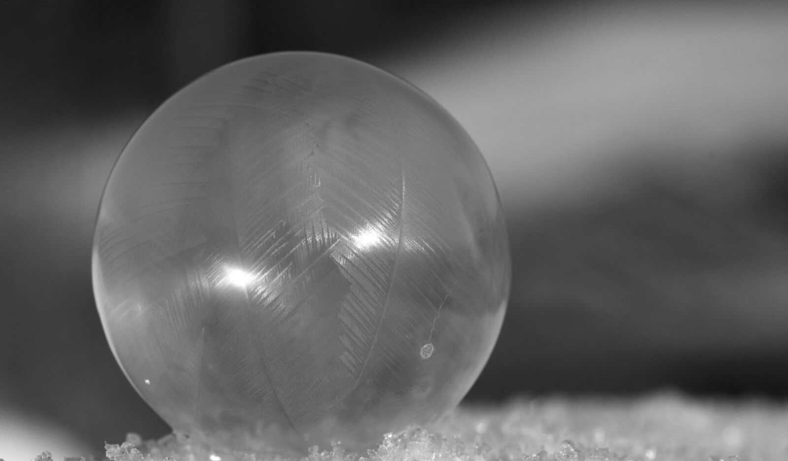 Nikon D3300 sample photo. Ball, frozen, frosted photography