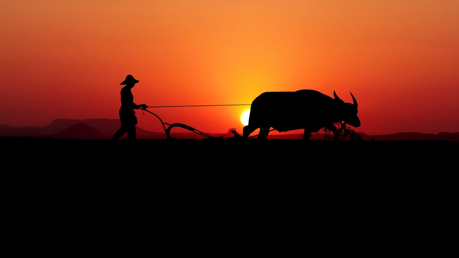Panasonic Lumix DMC-FZ200 sample photo. Sunset, asia, labour photography