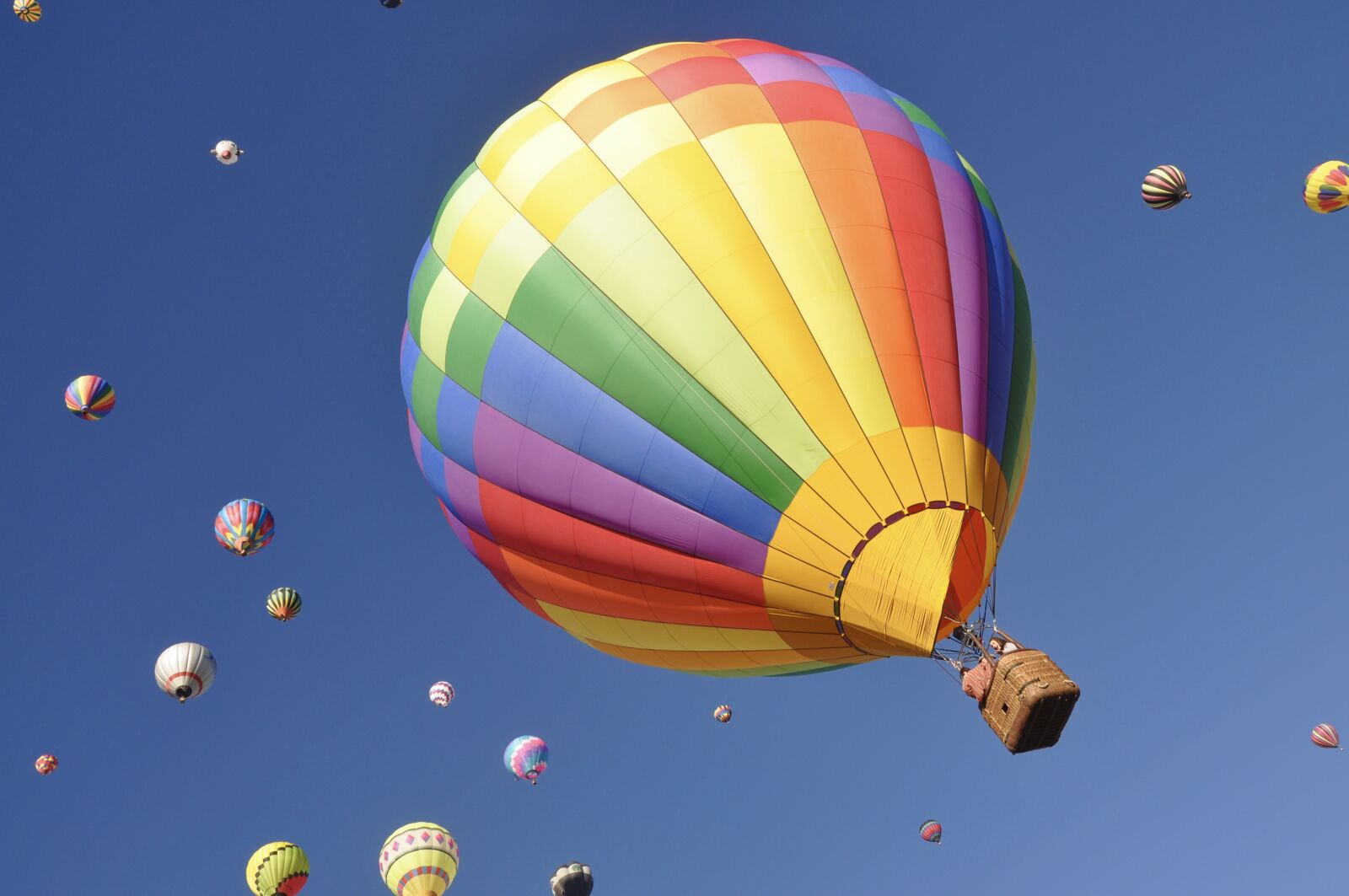 Nikon D90 sample photo. Sky, balloon, air photography