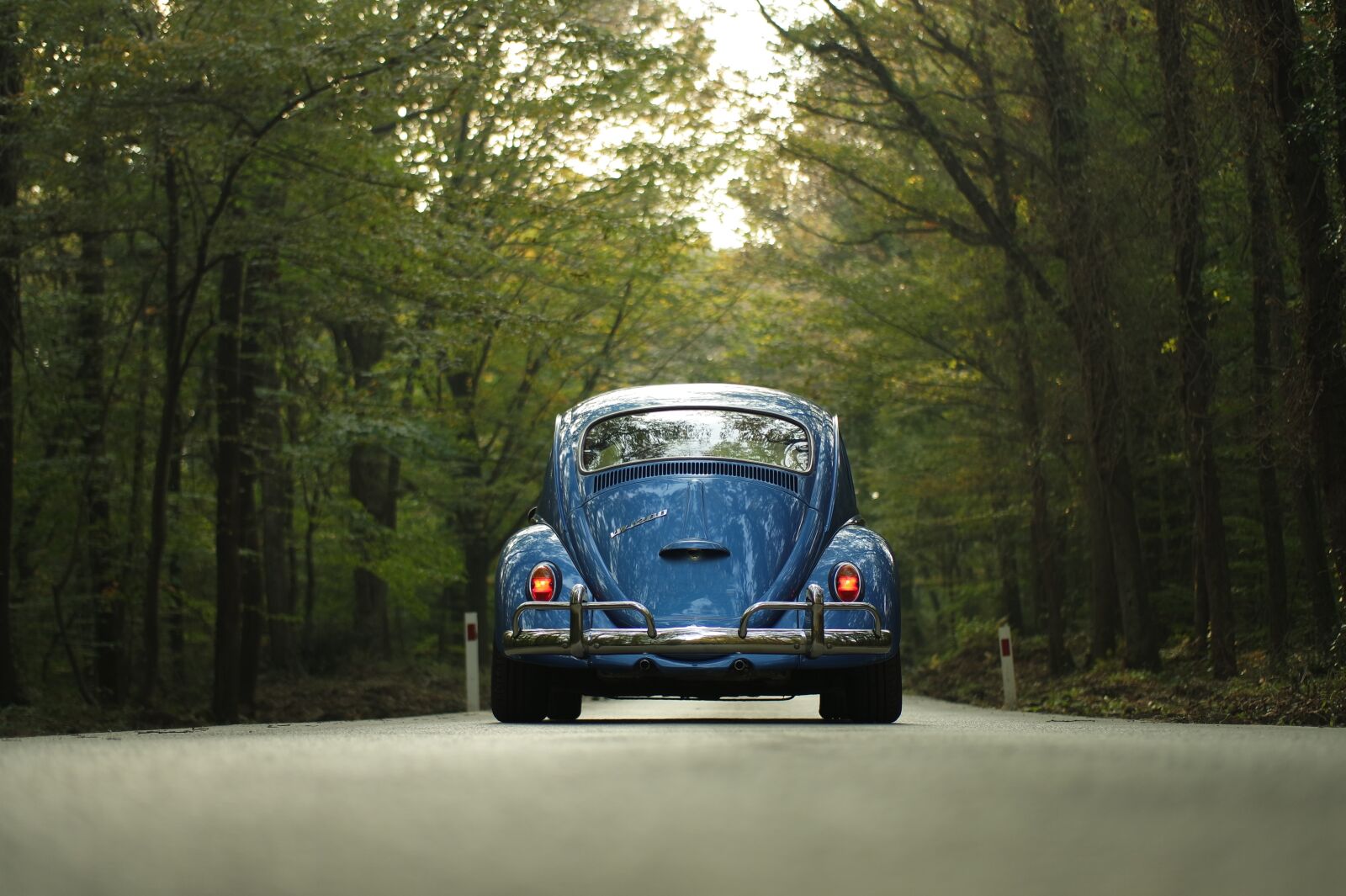 Samsung NX 45mm F1.8 sample photo. Car, classic car, forest photography