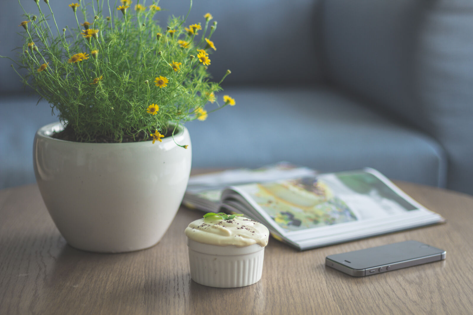 Canon EOS 60D + Canon EF 50mm F1.8 II sample photo. Flowers, books, desk, house photography