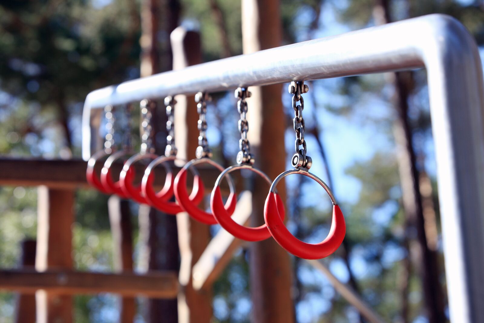 Canon EOS-1Ds Mark III sample photo. Children's playground, rings, childhood photography