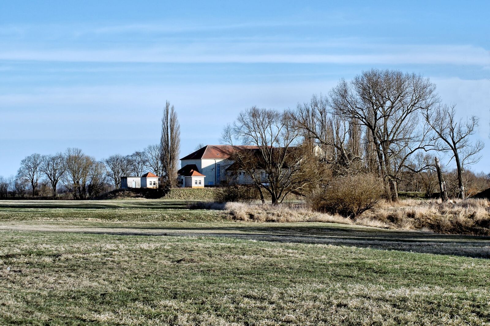 Nikon D5100 sample photo. Landscape, elbwiesen, trees photography