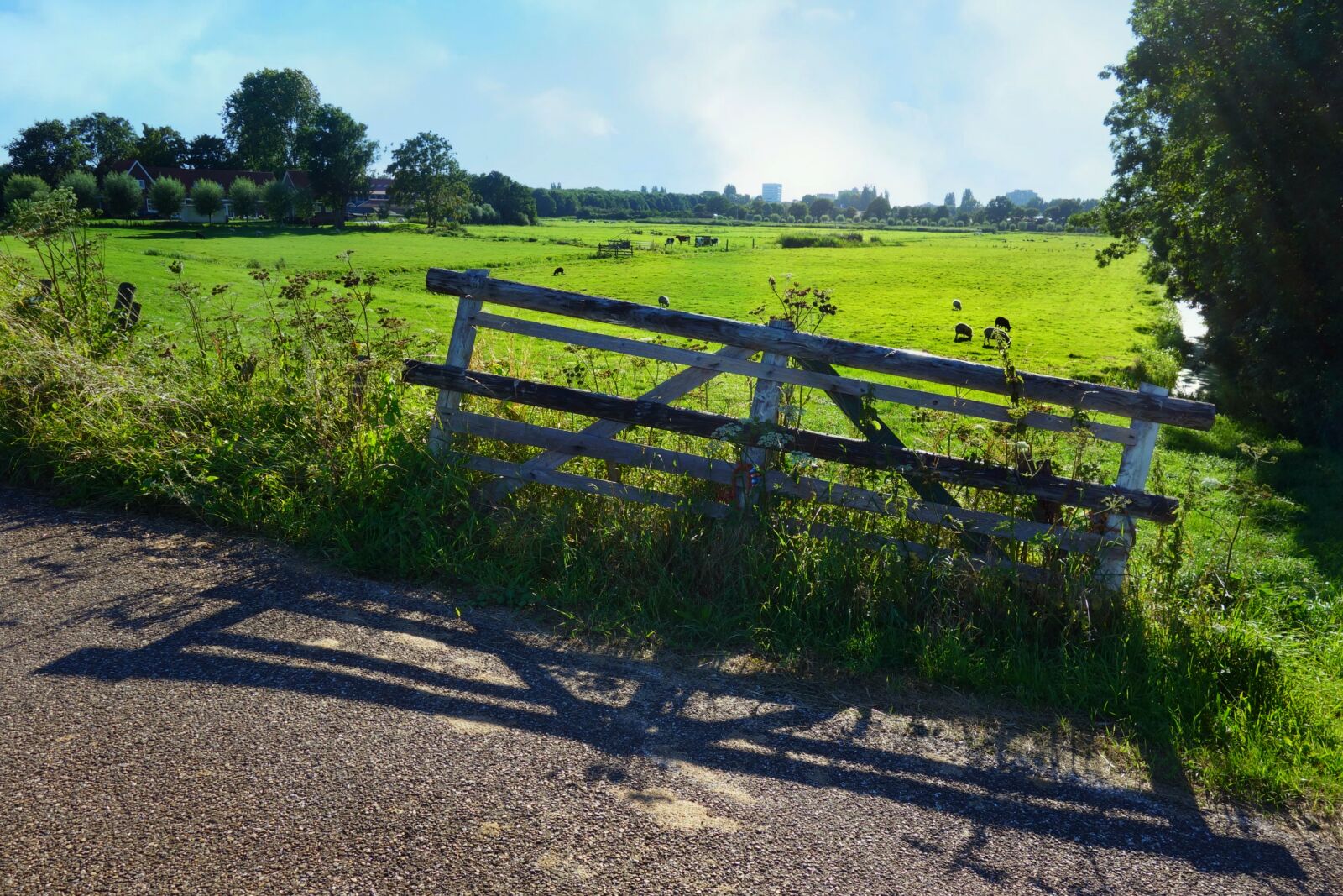 Sony Cyber-shot DSC-RX100 sample photo. Landscape, polder, rural photography