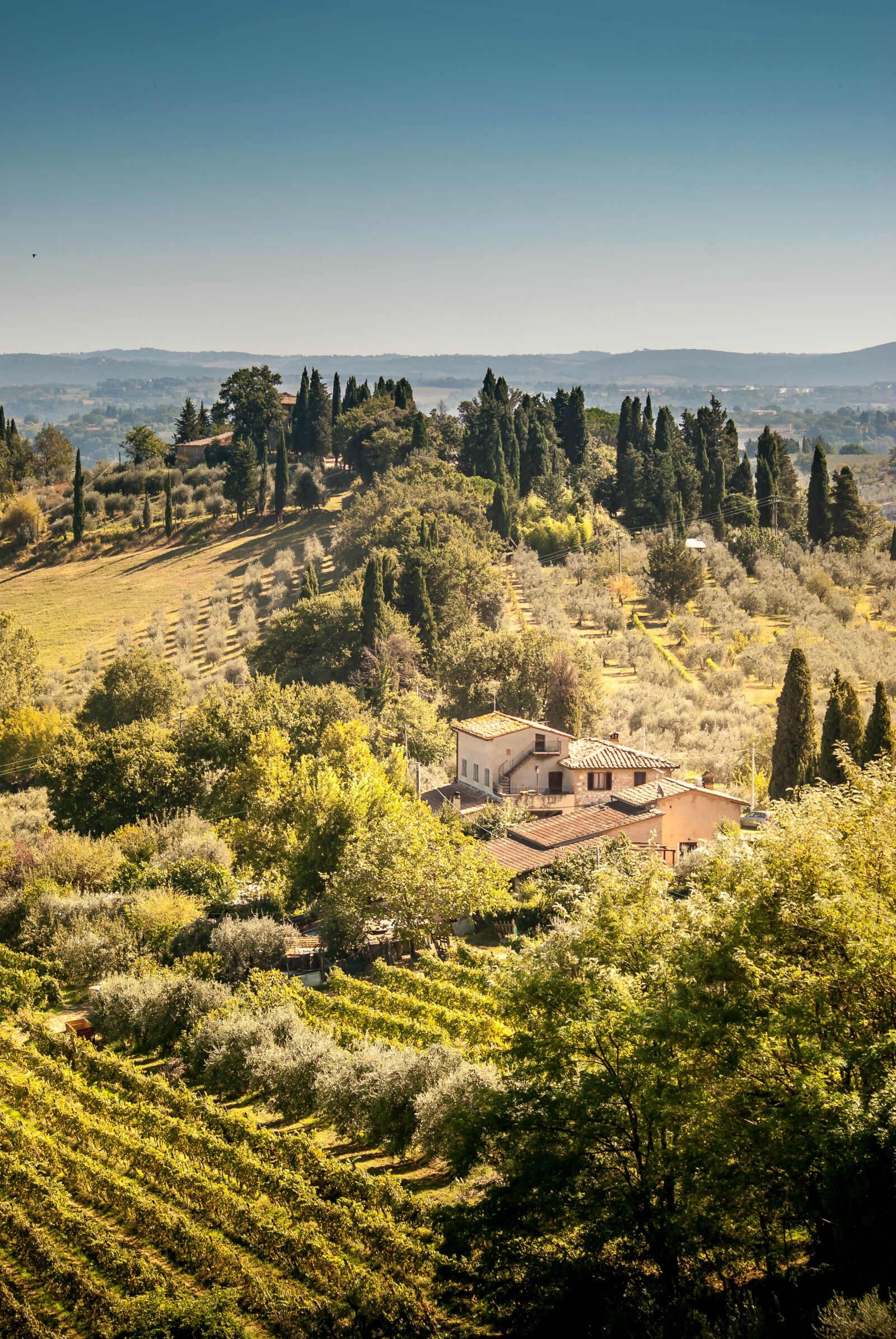Nikon D60 sample photo. Tuscany, italy, landscape photography