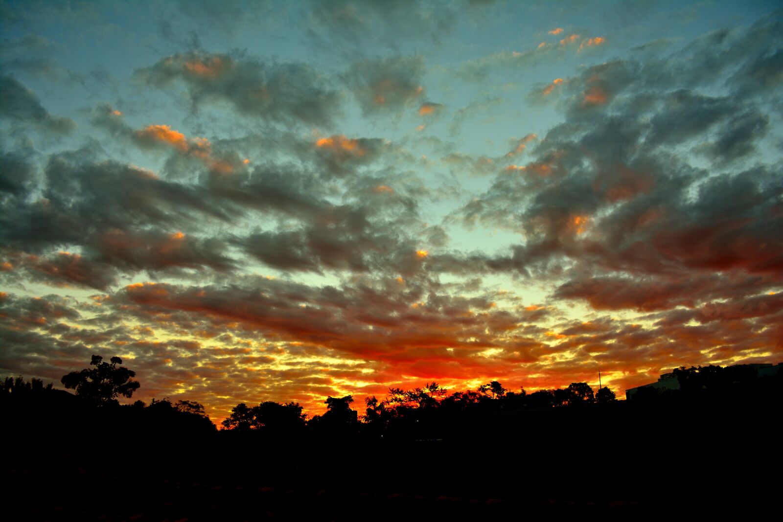 Nikon D7100 sample photo. Healing, glow, dreamlike photography