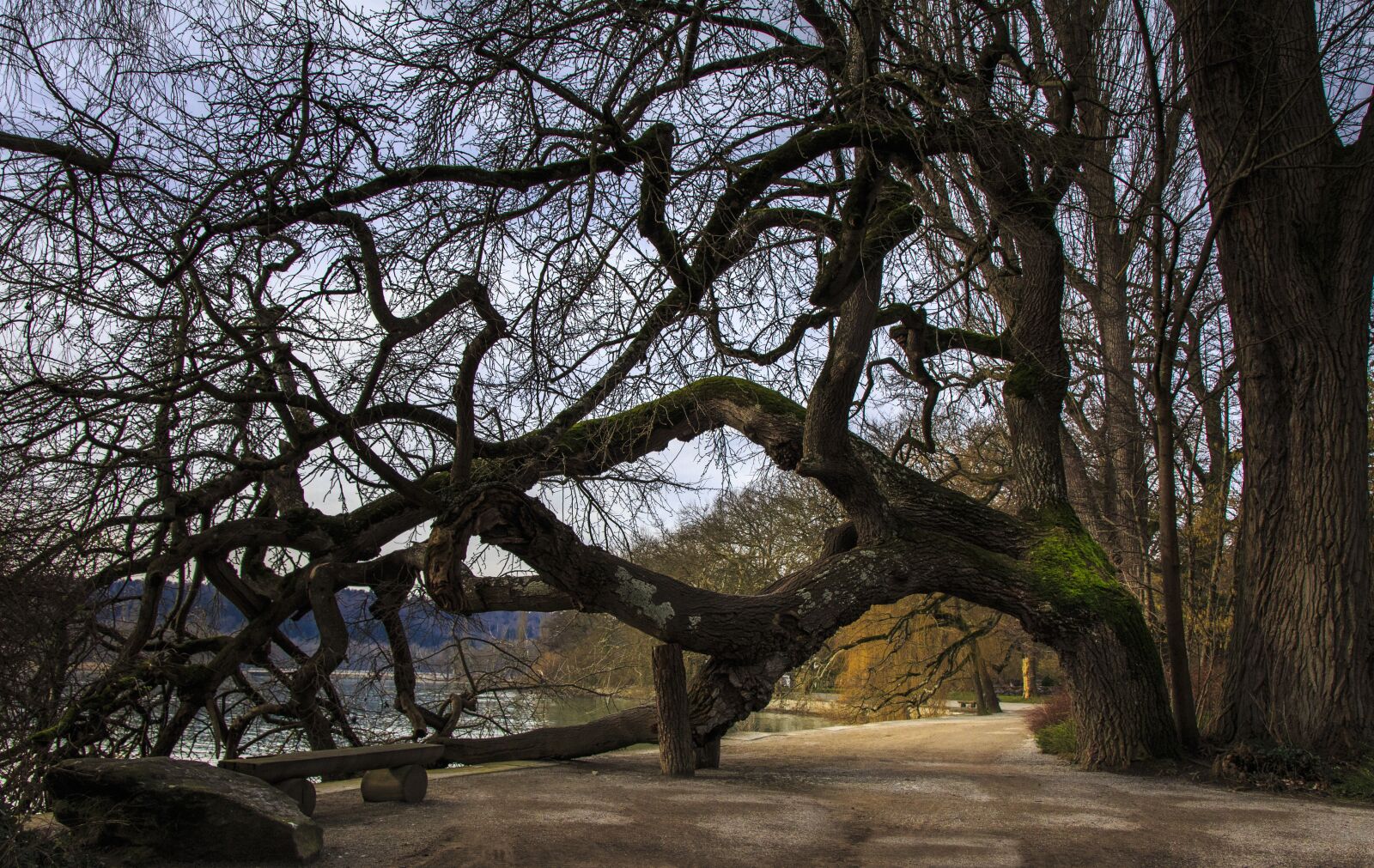 Canon EOS 650D (EOS Rebel T4i / EOS Kiss X6i) sample photo. Island of mainau, lake photography