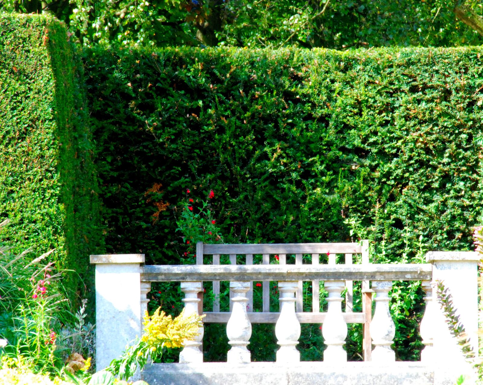 Nikon D80 sample photo. Garden, green, bench photography
