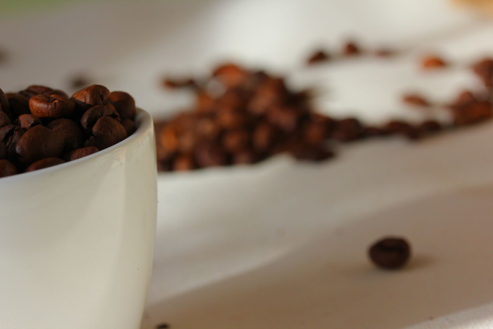 Canon EOS 550D (EOS Rebel T2i / EOS Kiss X4) sample photo. Coffee, coffee grain, cup photography