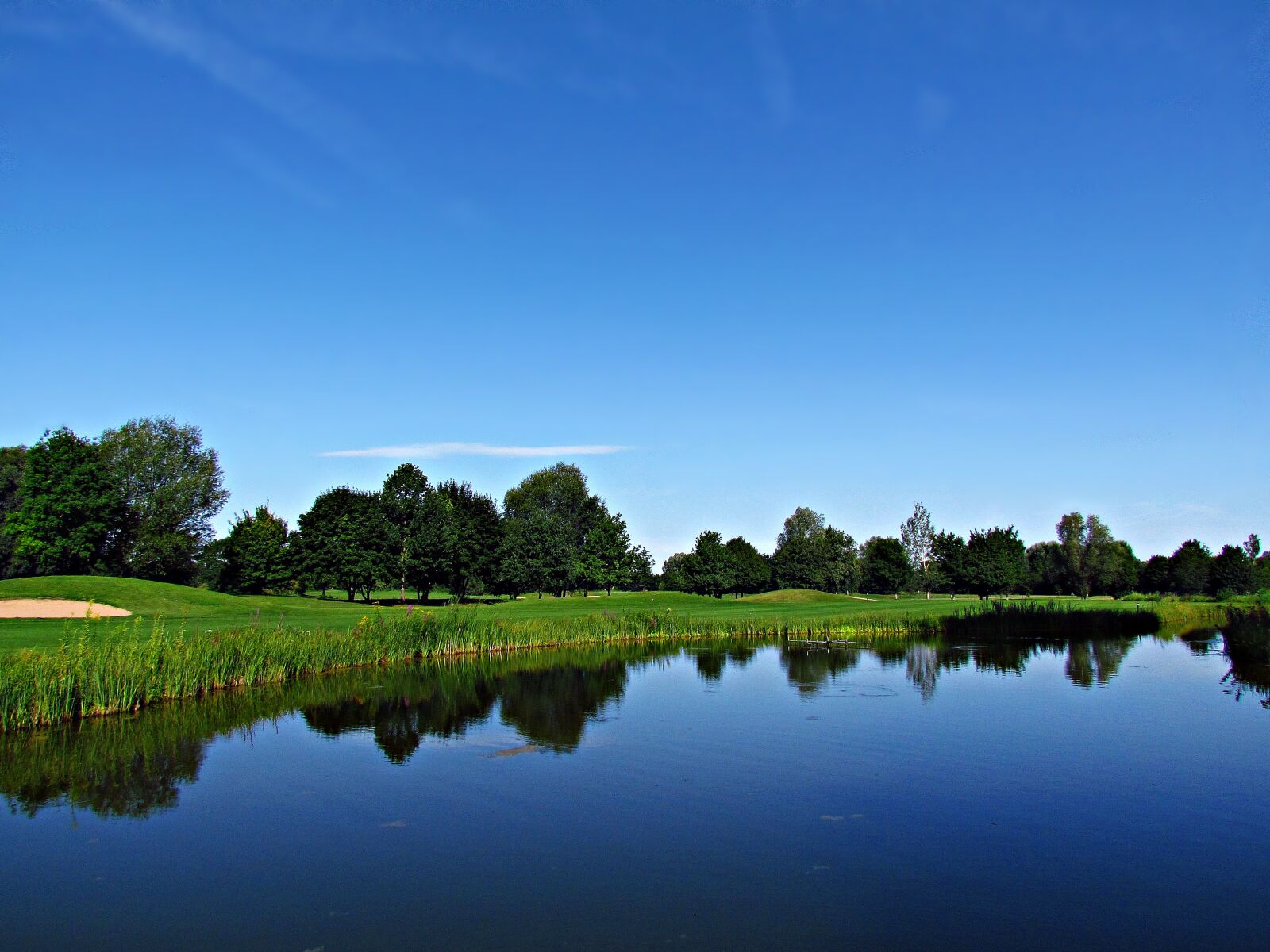 Поле вода. Сони поле воды. Nature field Water. Nature field Pond. Field Wall Lake.