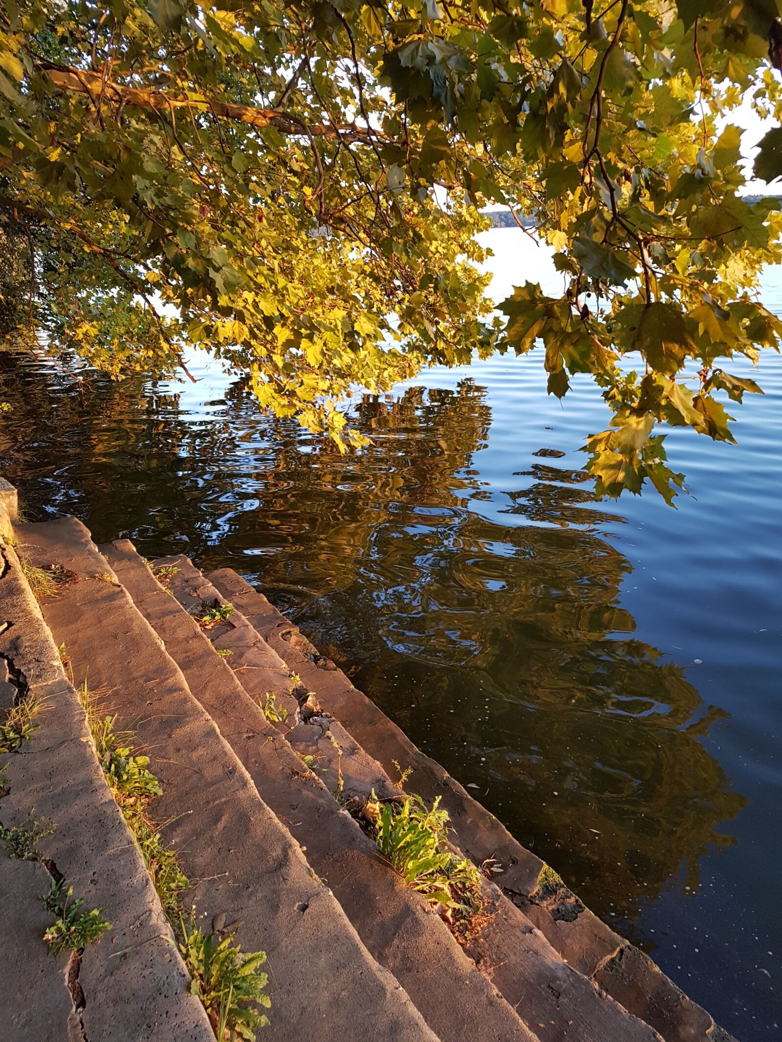 Samsung Galaxy S7 Edge sample photo. Stair, lake, autumn photography