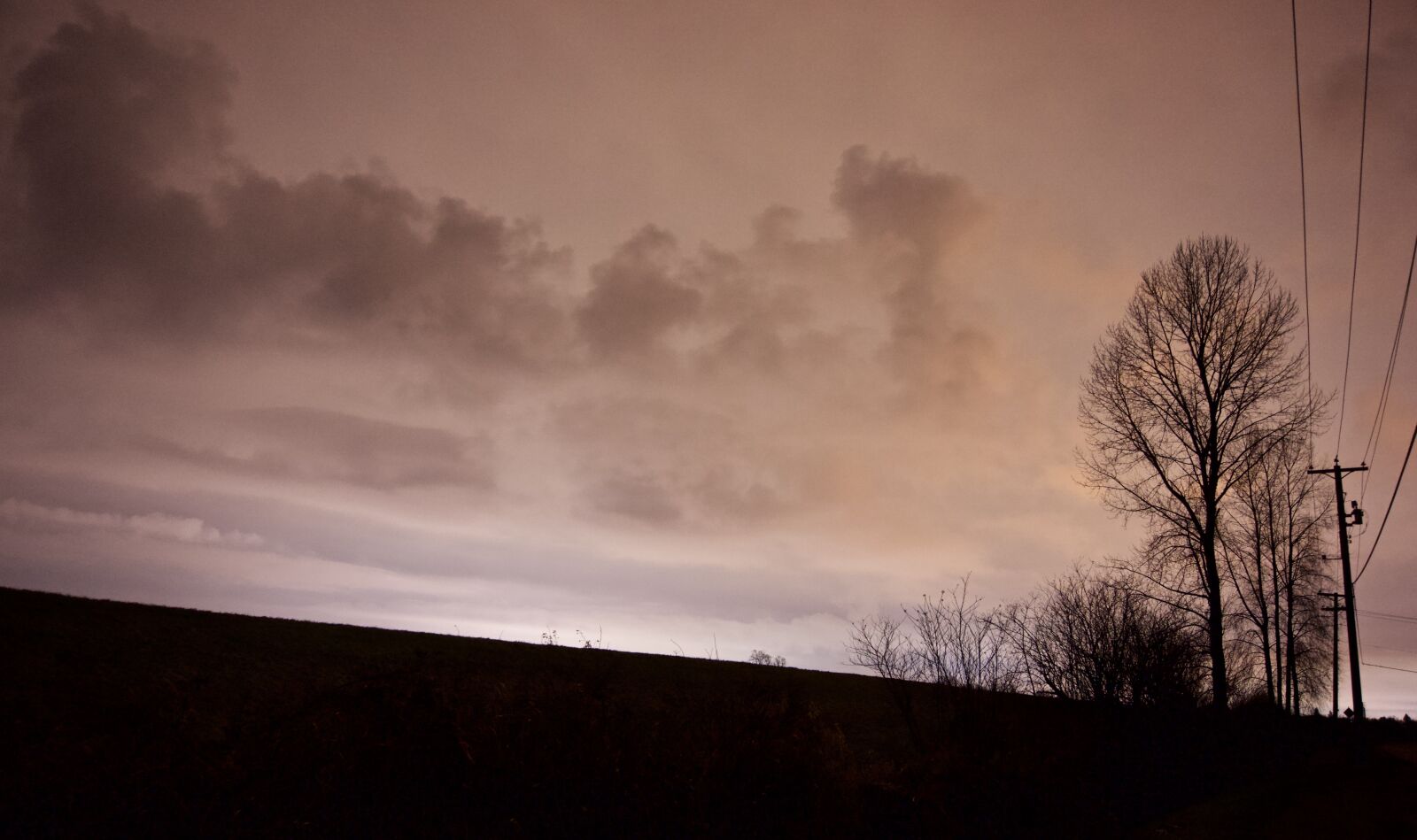 Sony a6000 sample photo. Meadow, night sky, night photography