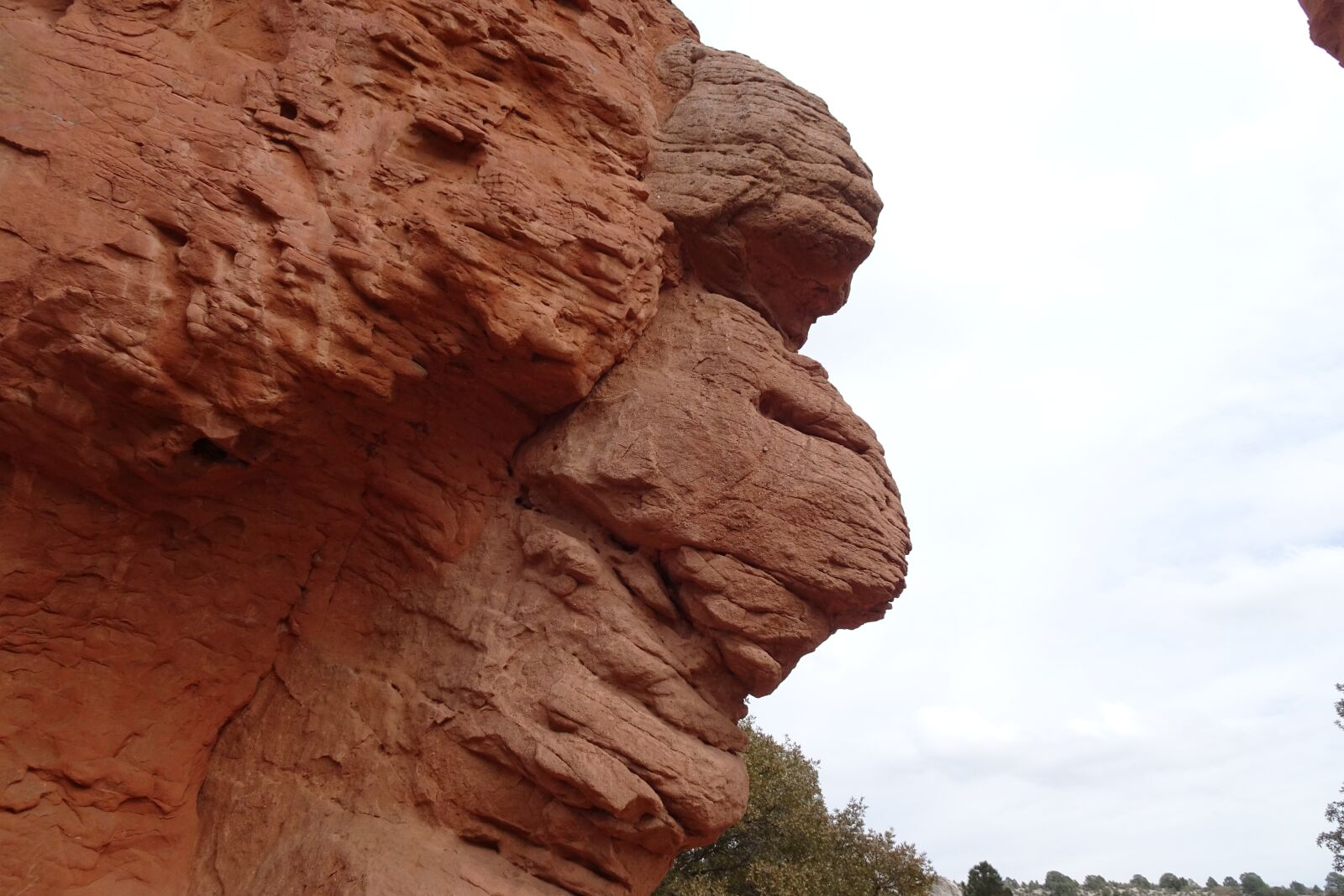 Sony Cyber-shot DSC-HX90V sample photo. Rock, monkey face, garden photography