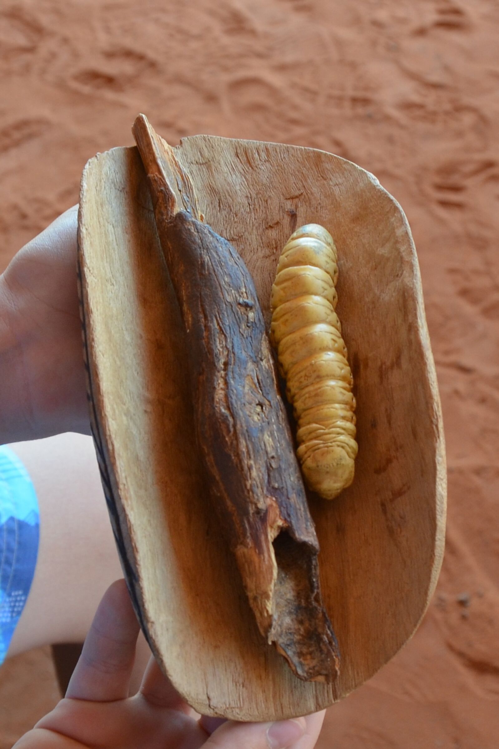 Nikon D5100 sample photo. Desert bush tucker, bushtucker photography