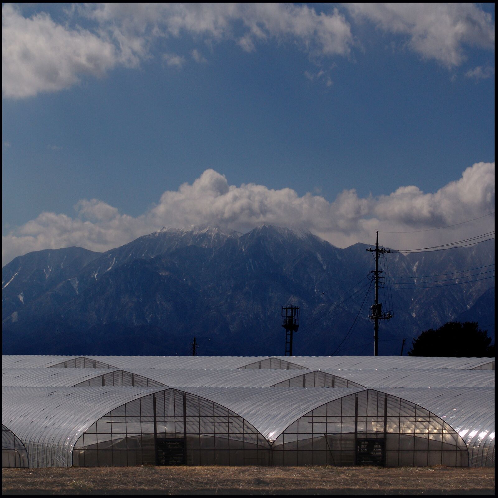Sony DSC-F828 sample photo. Landscape, japan, greenhouses photography