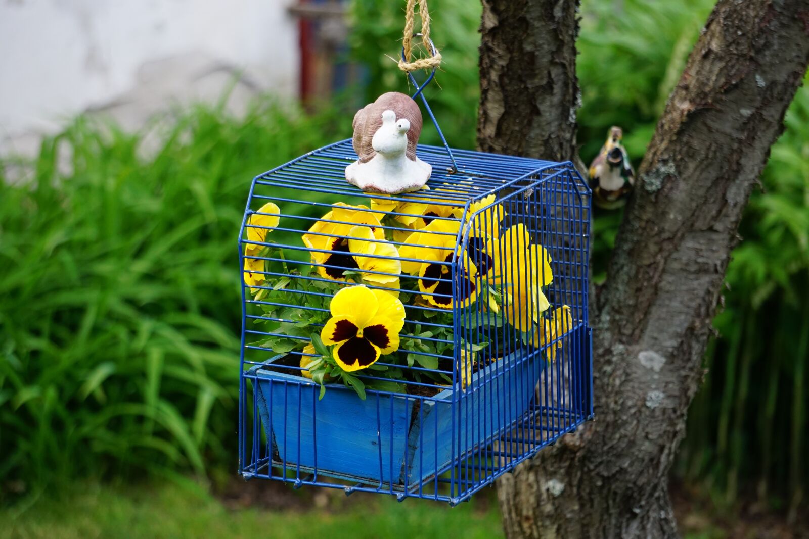 Sony E 55-210mm F4.5-6.3 OSS sample photo. Flower, cage, design photography