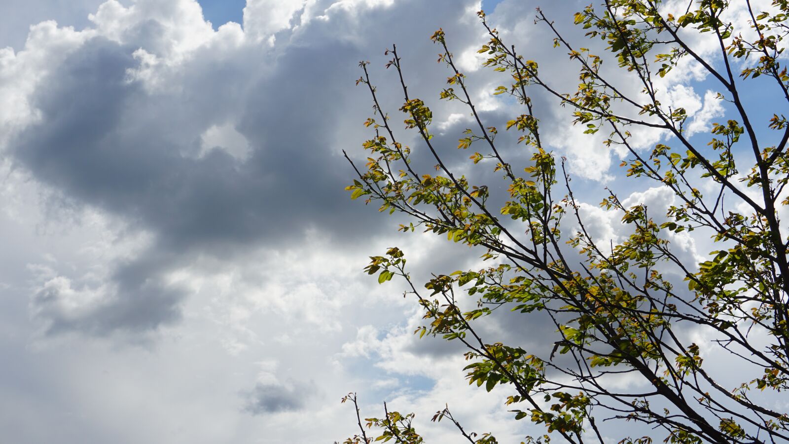 Sony E 16-50mm F3.5-5.6 PZ OSS sample photo. Nature, blue, clouds photography