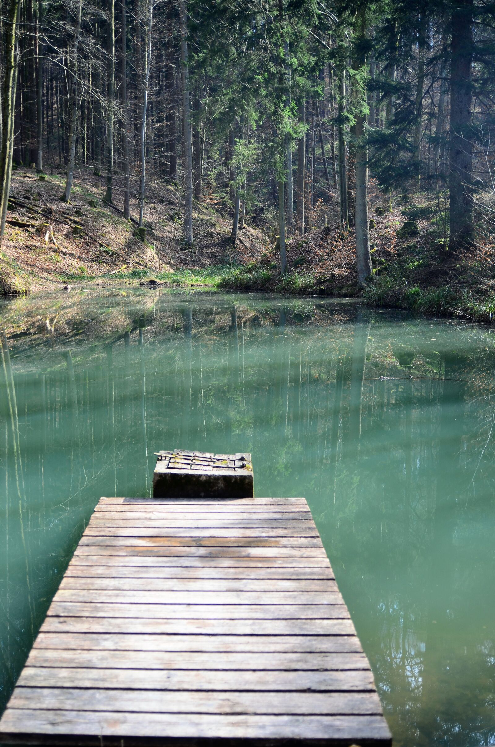 Nikon D7000 sample photo. Waldsee, pools, pond photography