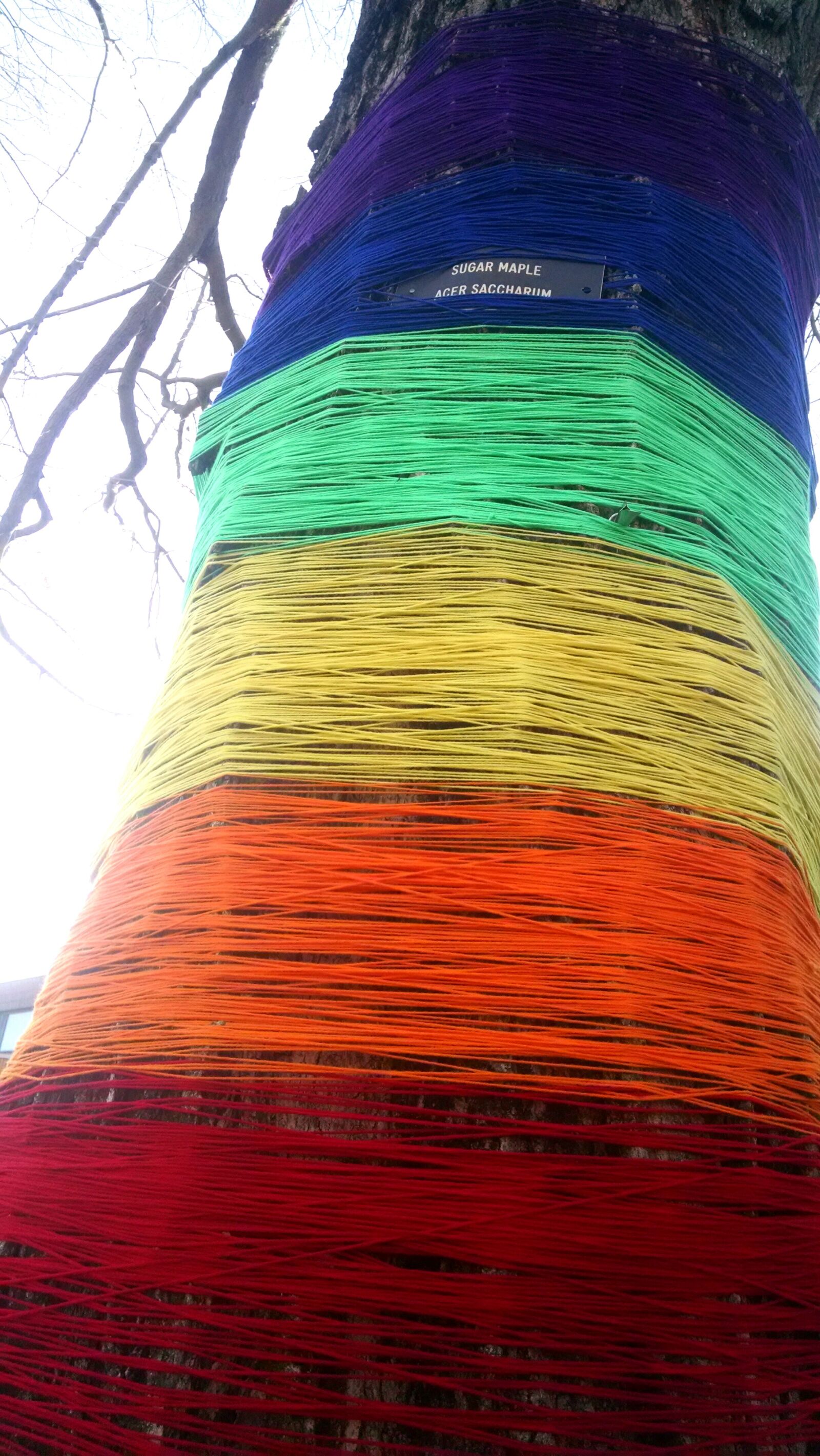 Motorola Moto X (1st Gen) sample photo. Art, string, tree photography