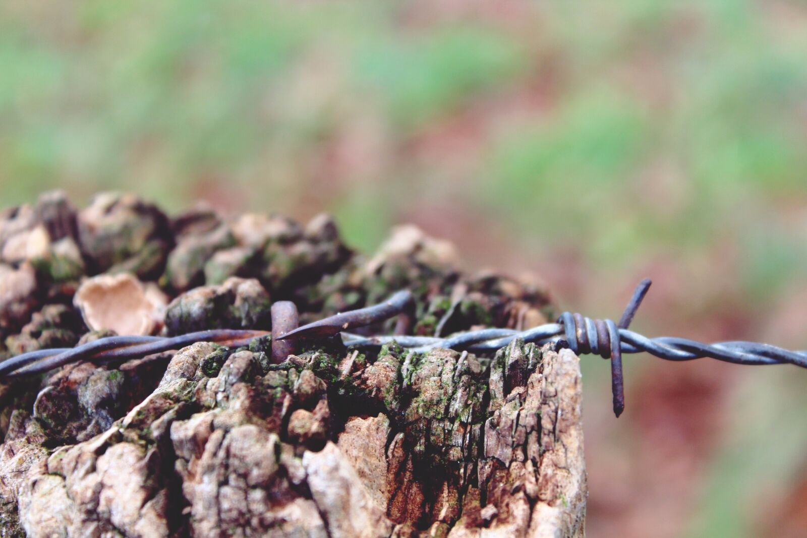 Canon EOS 1200D (EOS Rebel T5 / EOS Kiss X70 / EOS Hi) sample photo. Wooden mast, wire, wire photography