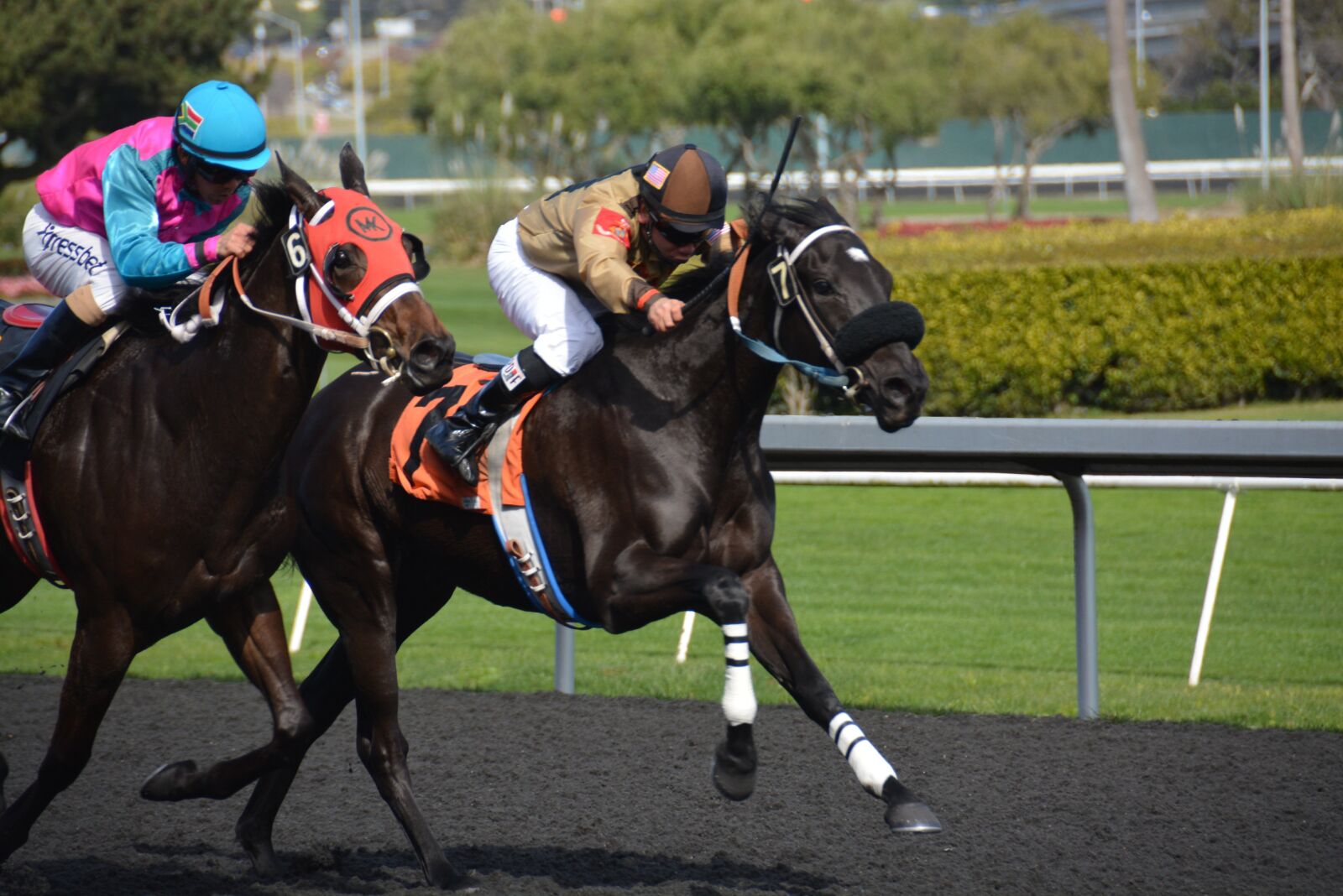 Nikon D5200 sample photo. Horseracing, race, horses photography
