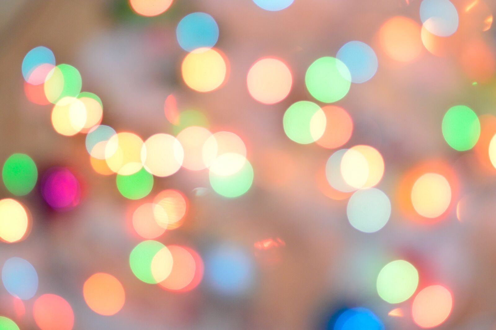 Nikon D3200 sample photo. Bokeh, brightness, light photography
