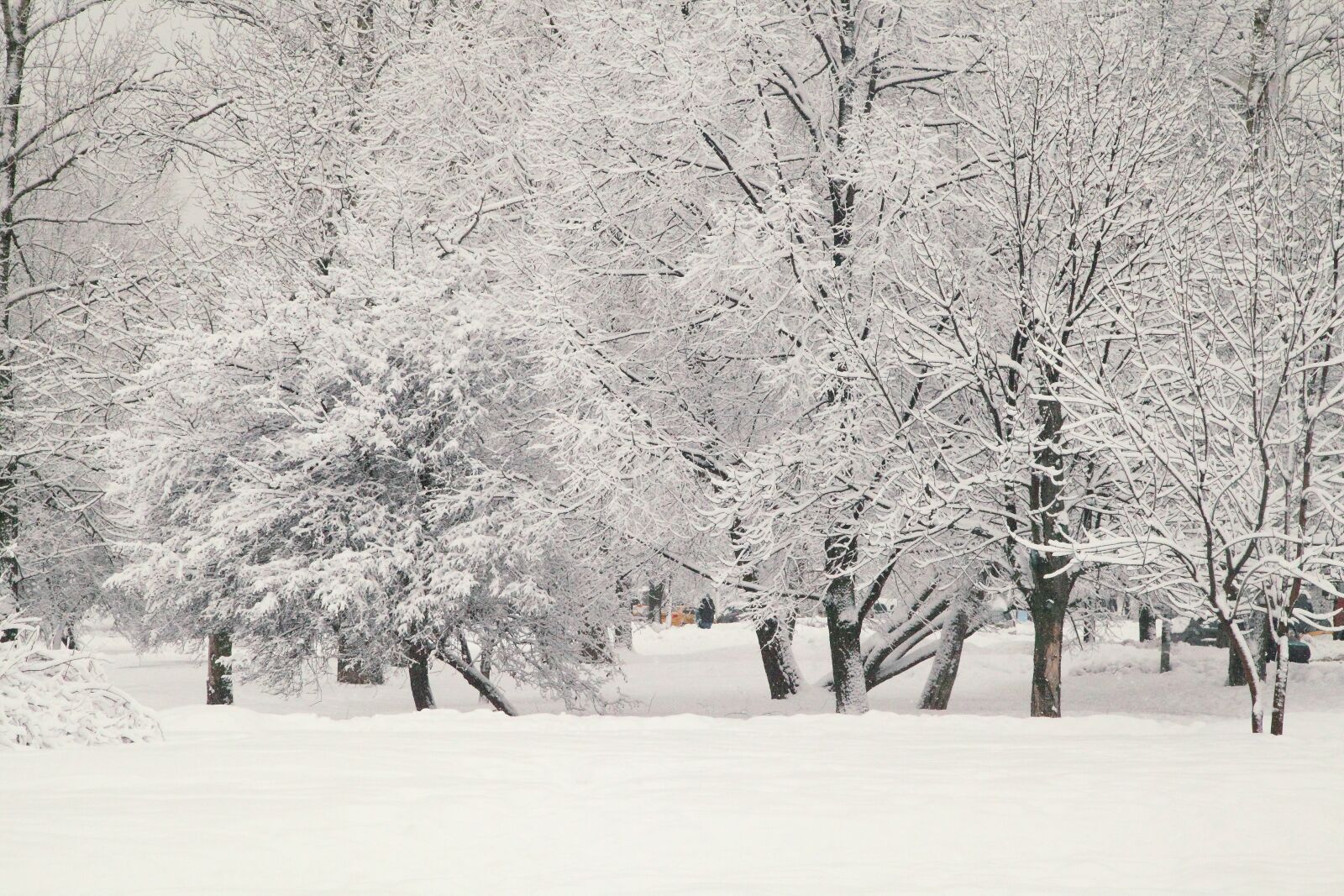 Canon EOS 5D Mark II sample photo. Russian winter, white snow photography
