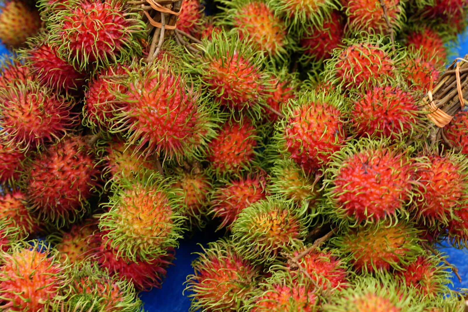 Sony a7S + Sony FE 24-70mm F2.8 GM sample photo. Rambutans, hairy fruits, fresh photography