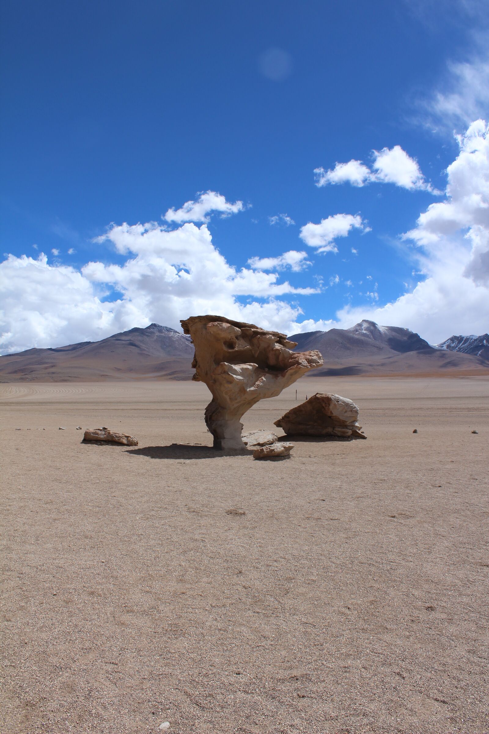 Canon EOS 1200D (EOS Rebel T5 / EOS Kiss X70 / EOS Hi) sample photo. Stone tree, bolivia, travel photography