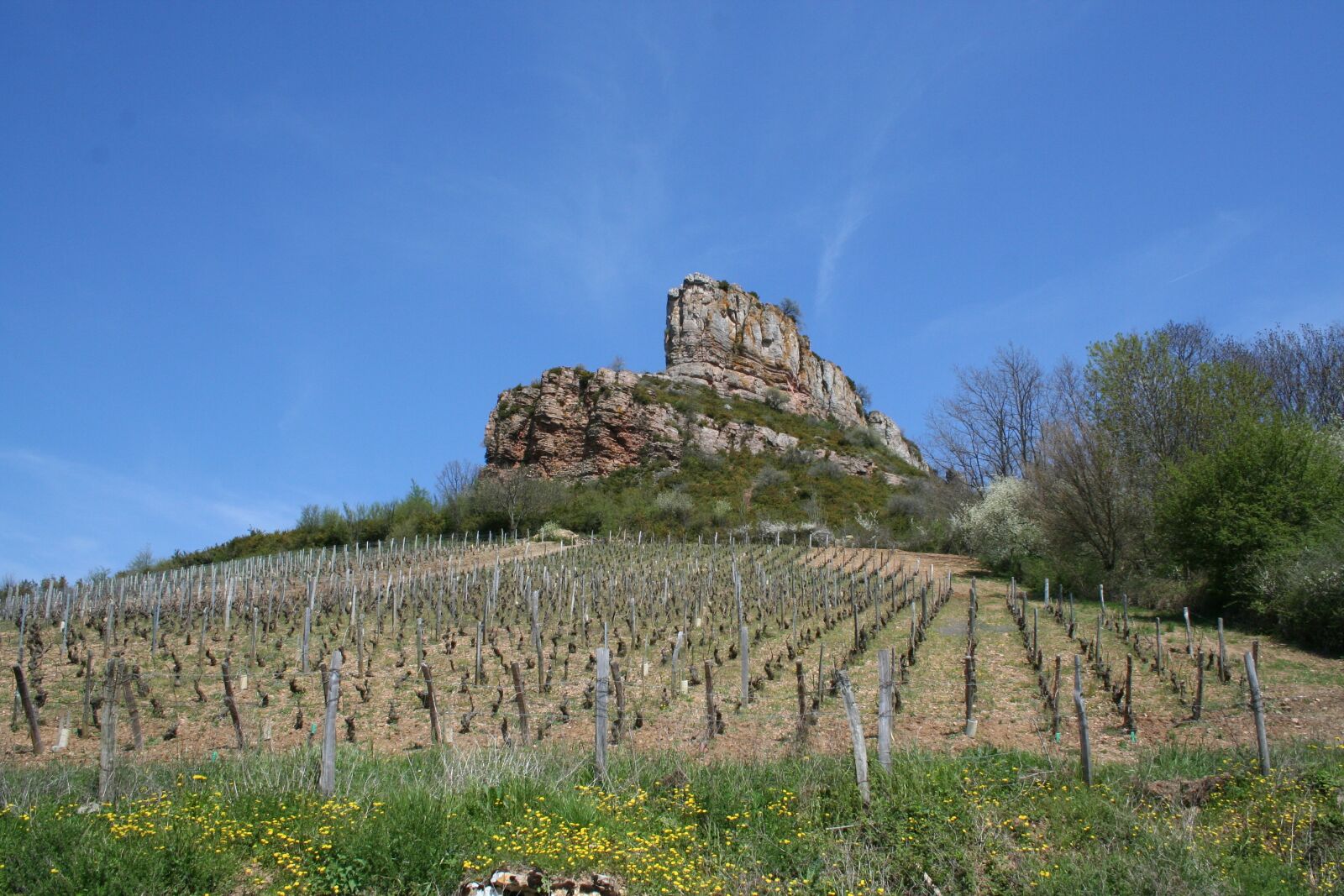 Canon EOS 350D (EOS Digital Rebel XT / EOS Kiss Digital N) sample photo. Solutré, burgundy, vine photography