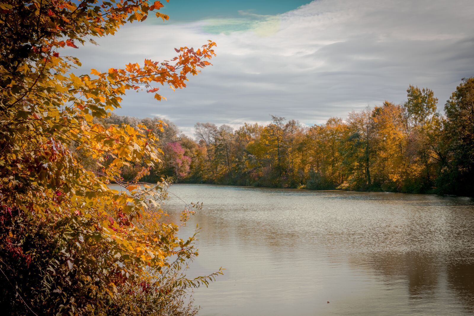 Sony Cyber-shot DSC-RX10 III sample photo. Autumn, tree, lake photography