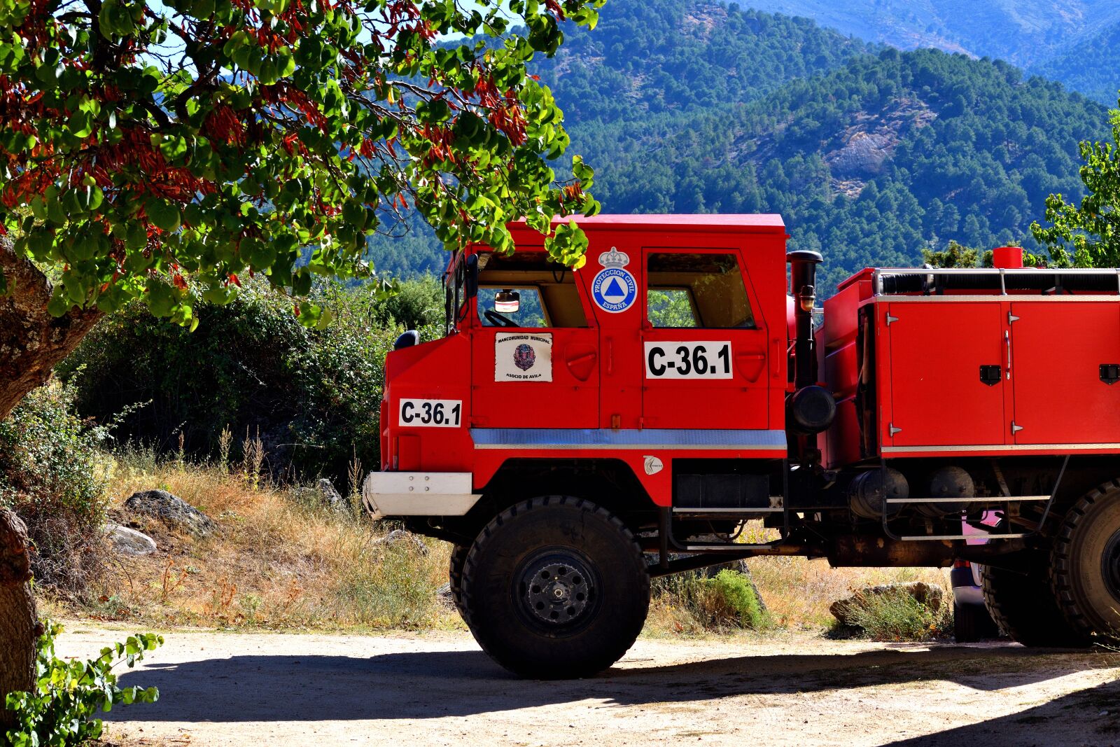 Nikon D5600 sample photo. Fire truck, nature, country photography
