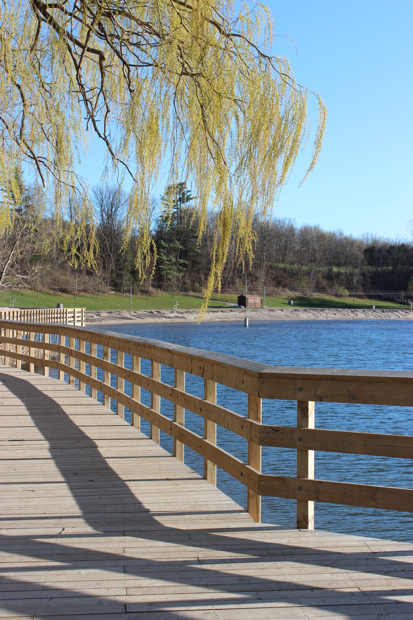 Canon EOS 600D (Rebel EOS T3i / EOS Kiss X5) sample photo. Lake, water, tree photography