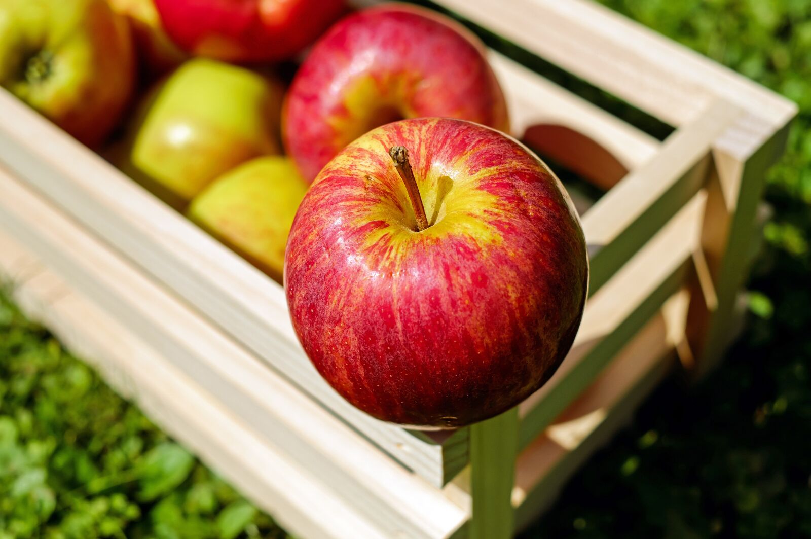 Fujifilm X-T10 + Fujifilm XF 35mm F1.4 R sample photo. Apple, red, fruit photography