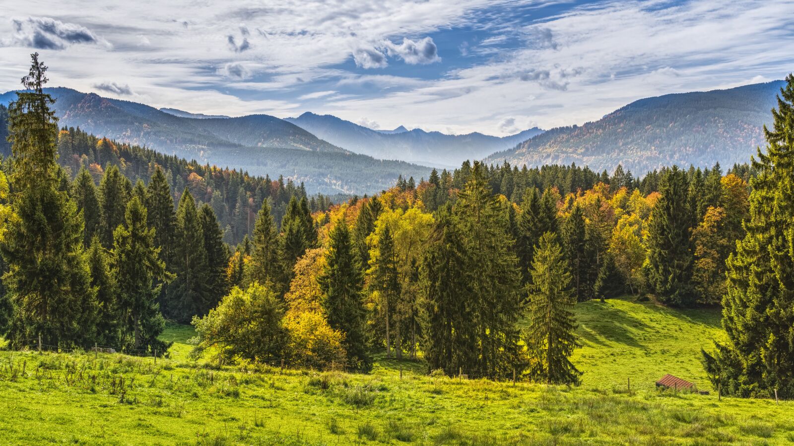 Sony a6300 + Sigma 30mm F2.8 EX DN sample photo. Mountains, view, forest photography