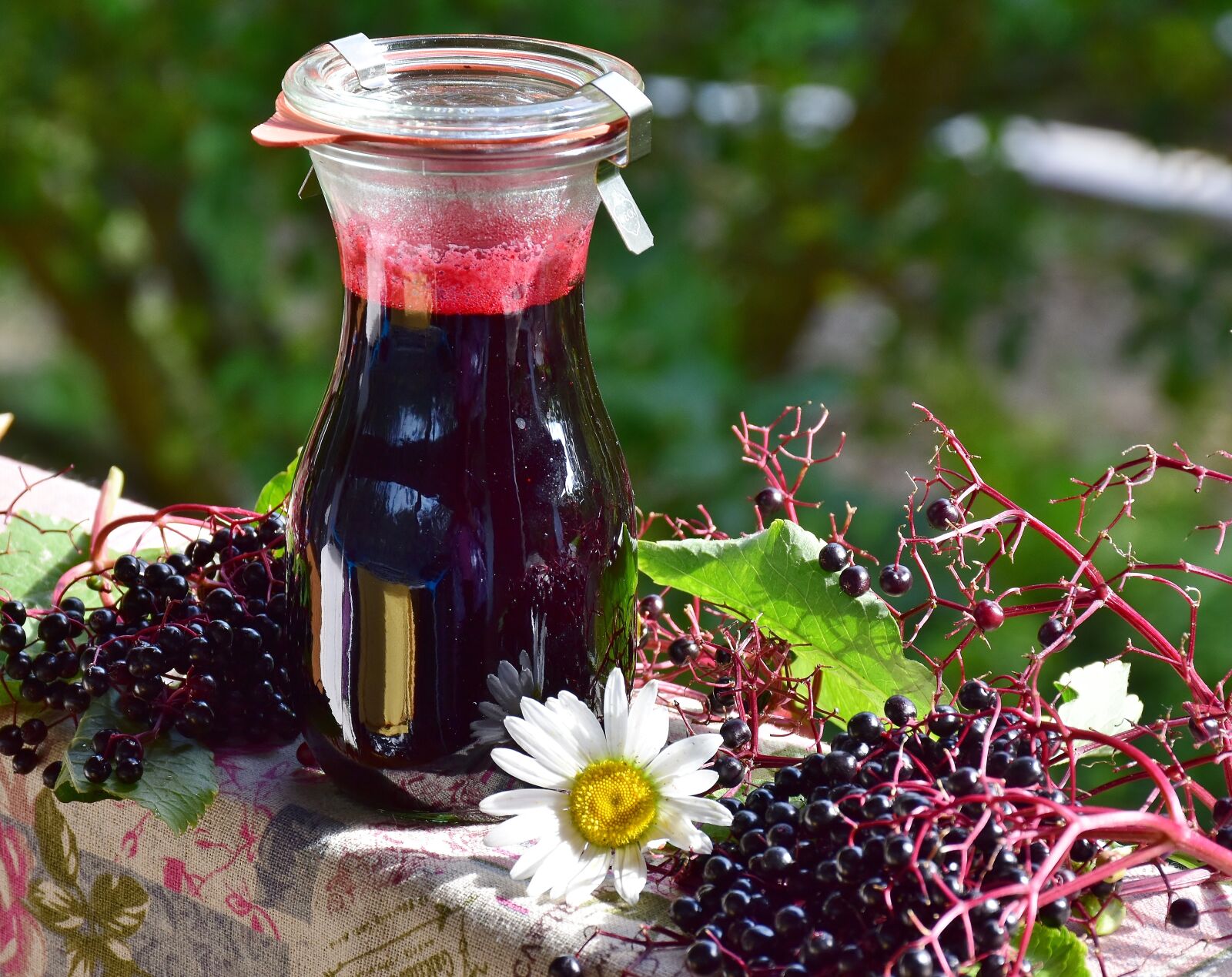 Nikon D7200 sample photo. Elder, elderberries, berries photography