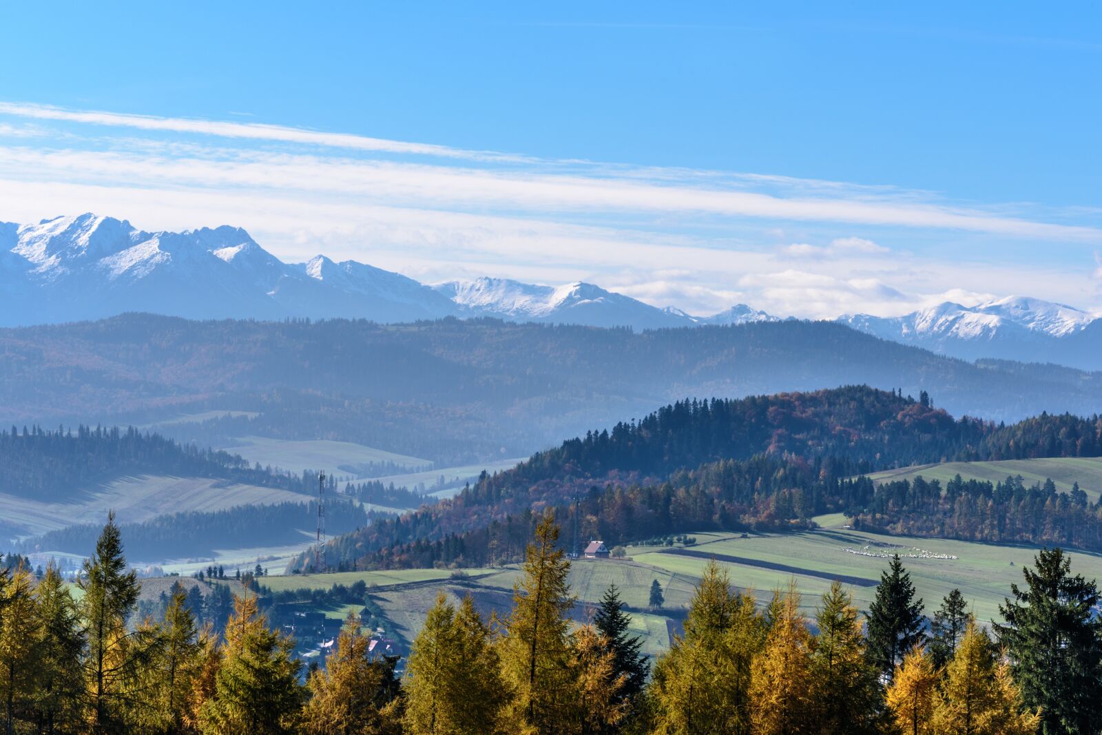 Nikon D750 sample photo. Snow peaks, meadows, sheep photography