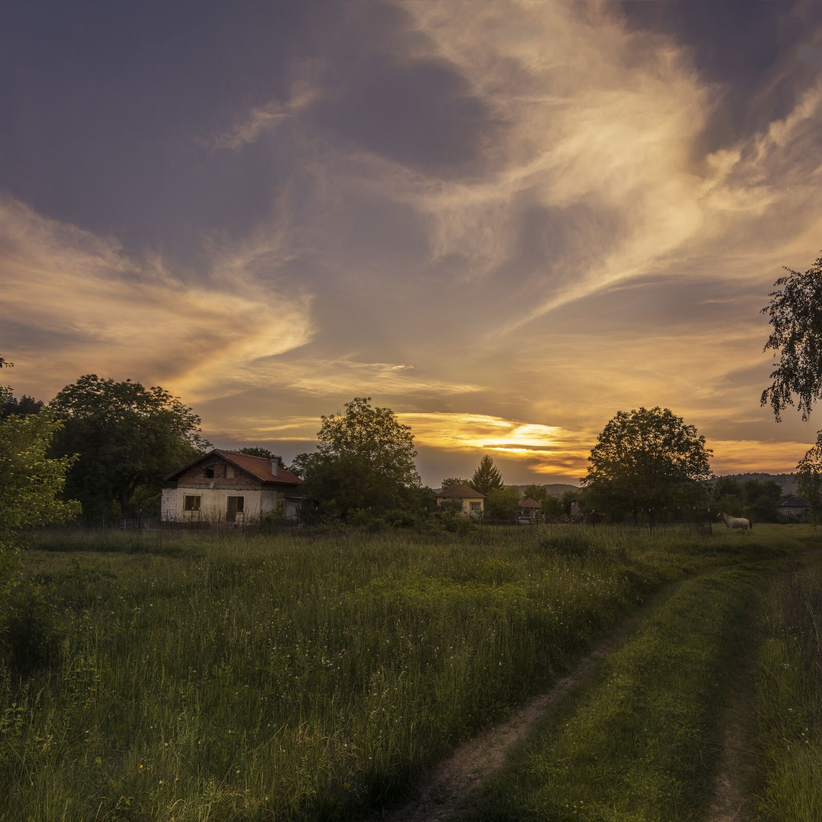 Nikon D7100 sample photo. Sunset, landscape, tree photography
