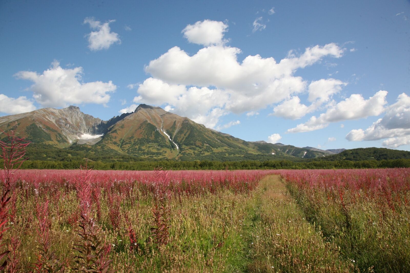 Canon EOS 5D sample photo. Mountains, volcano, tundra photography