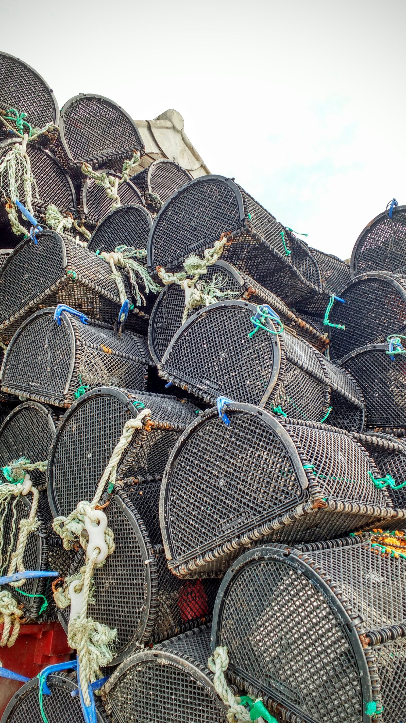 Motorola MotoG3 sample photo. Lobster, crab, pot photography